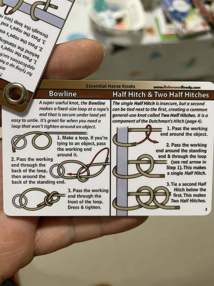 D_ Horse Knot Cards