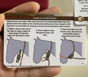 D_ Horse Knot Cards