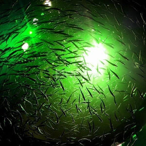 B Deep Drop Fishing Light