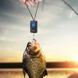 a Scale for Fishing