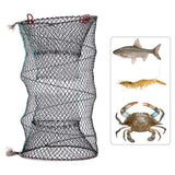 C_Fishing Traps